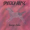 You Can Always Trust A Spotted Horse: Nathan T. Riggins Western Adventure, Book 3 Audiobook