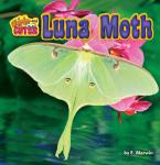 Luna Moth Audiobook