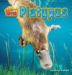 Platypus Audiobook