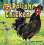 Polish Chicken, Joyce Markovics