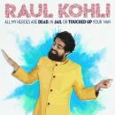 Raul Kohli: All My Heroes Are Dead, In Jail or Touched Up My Nan Audiobook