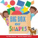 Big Box of Shapes Audiobook