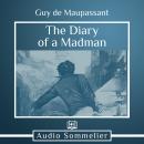 The Diary of a Madman Audiobook