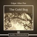 The Gold Bug Audiobook