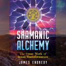 Shamanic Alchemy: The Great Work of Inner Transformation Audiobook