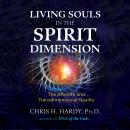 Living Souls in the Spirit Dimension: The Afterlife and Transdimensional Reality Audiobook