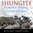 Shungite: Protection, Healing, and Detoxification Audiobook