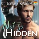 Not So Hidden Audiobook