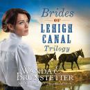 Brides of Lehigh Canal Trilogy Audiobook