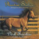 Phantom Stallion: Dark Sunshine Audiobook