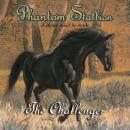Phantom Stallion: The Challenger Audiobook
