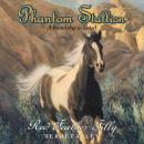 Phantom Stallion: Red Feather Filly Audiobook