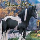 Phantom Stallion: Gypsy Gold Audiobook