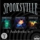 Spooksville Collection Volume 3: The Dark Corner, Pan's Realm, The Wishing Stone Audiobook