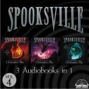 Spooksville Collection Volume 4: The Wicked Cat, The Deadly Past, The Hidden Beast Audiobook