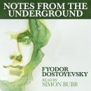 Notes from the Underground Audiobook