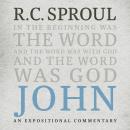 John: An Expositional Commentary Audiobook