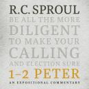 1-2 Peter: An Expositional Commentary Audiobook