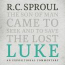 Luke: An Expositional Commentary Audiobook