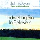 The Nature, Power, Deceit and Prevalencey of Indwelling Sin in Believers Audiobook