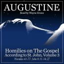 Homilies on the Gospel According to St. John Volume 3: Homilies 41-77: John 8:31-14:27 Audiobook