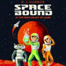 The Iron Heart of Mars Audiobook