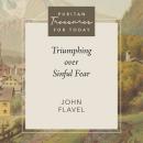 Triumphing Over Sinful Fear Audiobook