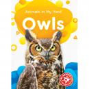 Owls Audiobook