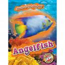 Angelfish Audiobook