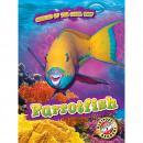 Parrotfish Audiobook
