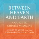 Between Heaven and Earth: A Guide to Chinese Medicine Audiobook