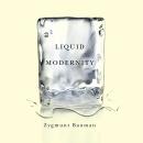 Liquid Modernity Audiobook