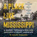 A Place Like Mississippi: A Journey Through a Real and Imagined Literary Landscape Audiobook