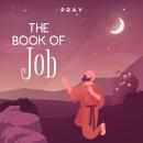 The Book of Job: A Bedtime Bible Story by Pray.com Audiobook