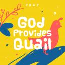 God Provides Quail: A Kids Bible Story by Pray.com Audiobook