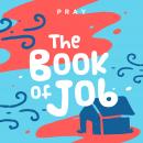 The Book of Job: A Kids Bible Story by Pray.com Audiobook