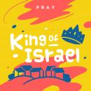 King of Israel: A Kids Bible Story by Pray.com Audiobook