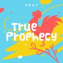 True Prophecy: A Kids Bible Story by Pray.com Audiobook