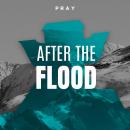 After the Flood: A Bible Story by Pray.com Audiobook