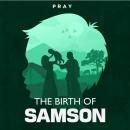 The Birth of Samson: A Bible Story by Pray.com Audiobook