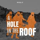 A Hole in the Roof: A Bible Story by Pray.com Audiobook