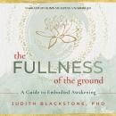 The Fullness of the Ground: A Guide to Embodied Awakening Audiobook