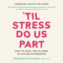 'Til Stress Do Us Part: How to Heal the #1 Issue in Our Relationships Audiobook