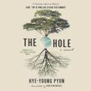 The Hole Audiobook