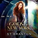 Gods of New York Audiobook