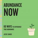 Abundance Now: 60 Ways to Experience True Abundance Audiobook