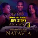 Who Wants that Perfect Love Story Anyway 3 Audiobook
