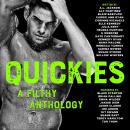 QUICKIES Audiobook