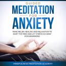 Guided Meditation for Anxiety, Panic Relief, Healing and Relaxation to Quiet the Mind and let Stress go Away, Mindfulness Meditation Academy