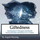 Giftedness: Learning How to Recognize and Handle Overexcited Kids with Brains (2 in 1 Combo) Audiobook